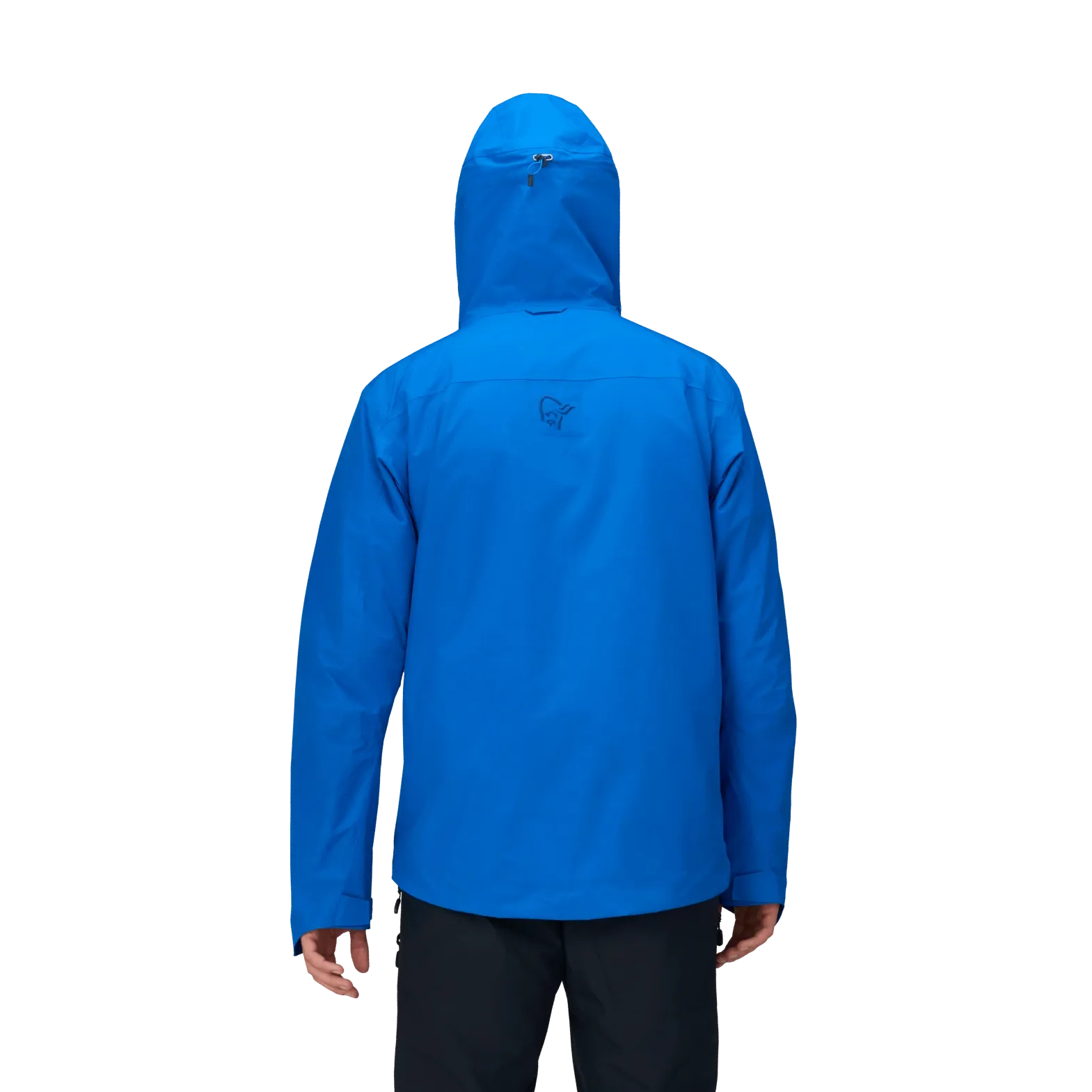 Men's Lofoten Gore-Tex Insulated Jacket