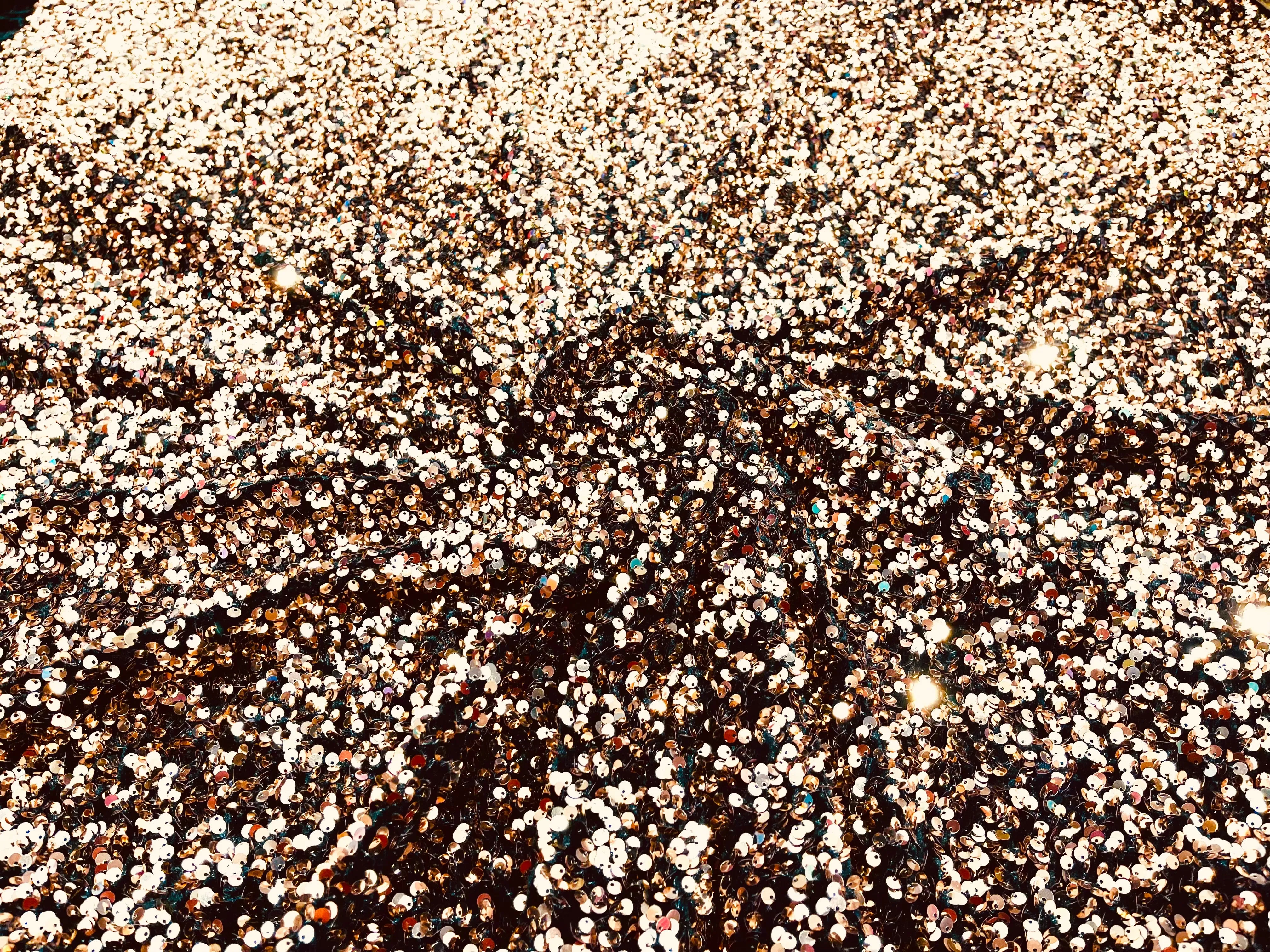 SEQUIN STRETCH VELVET (By The Yard)