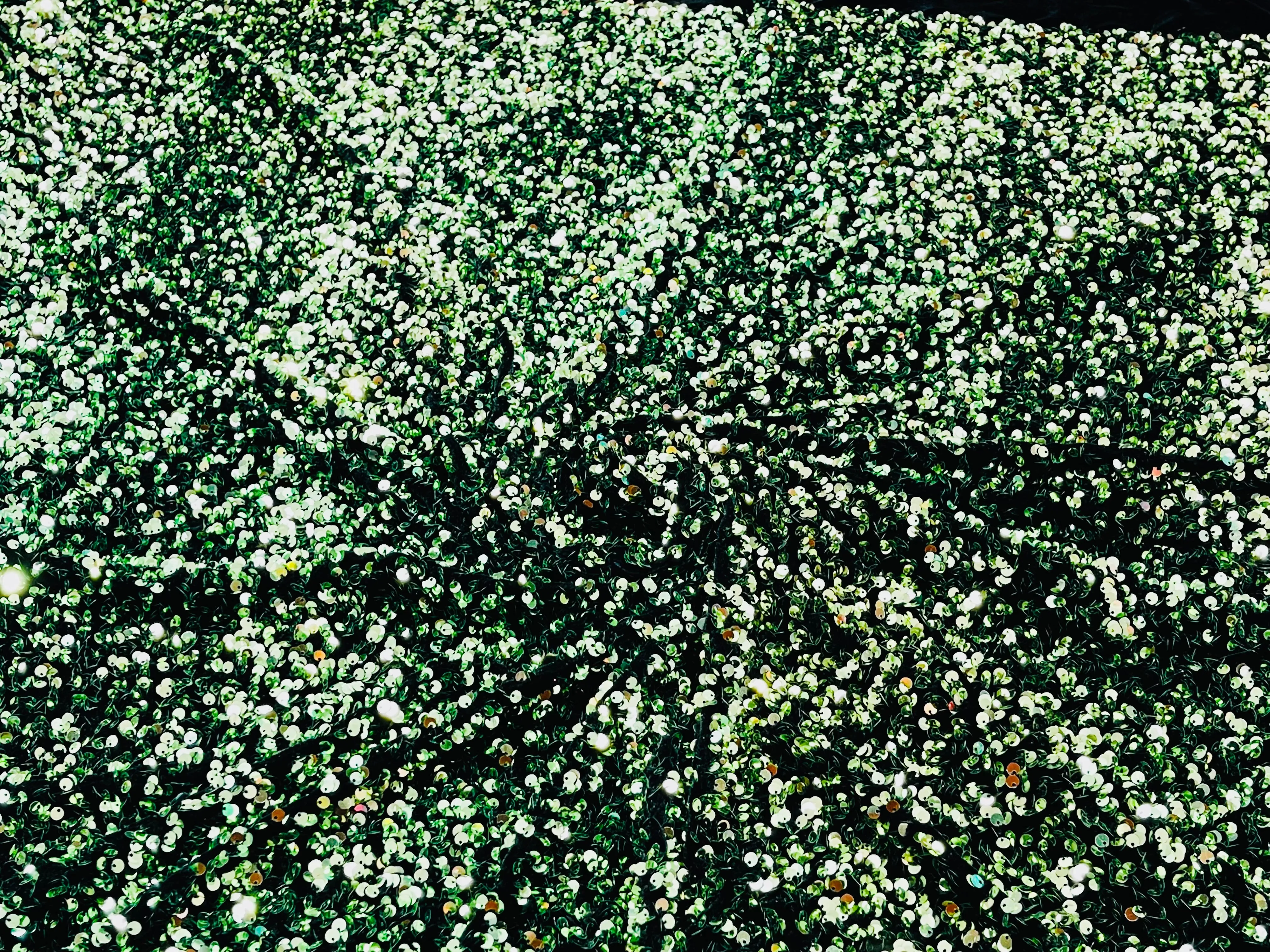 SEQUIN STRETCH VELVET (By The Yard)