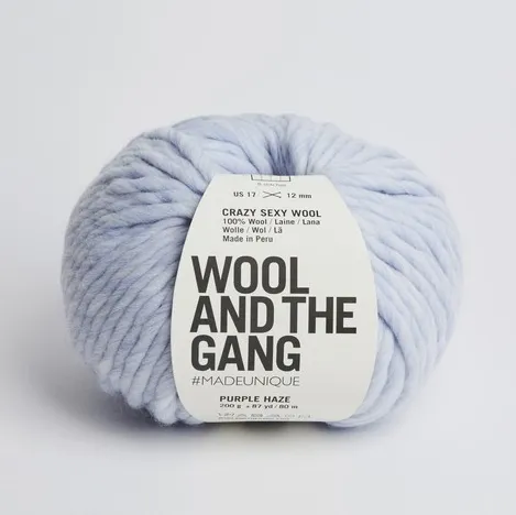 Wool and the Gang Crazy Sexy Wool