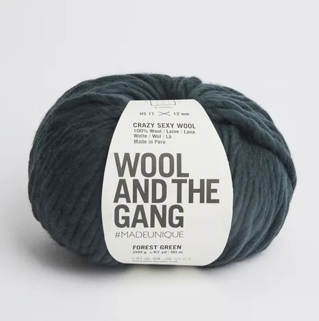 Wool and the Gang Crazy Sexy Wool