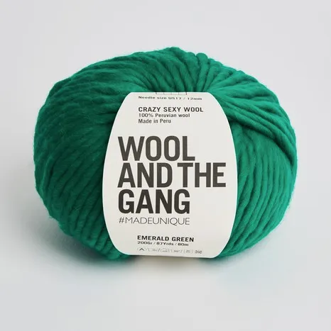 Wool and the Gang Crazy Sexy Wool