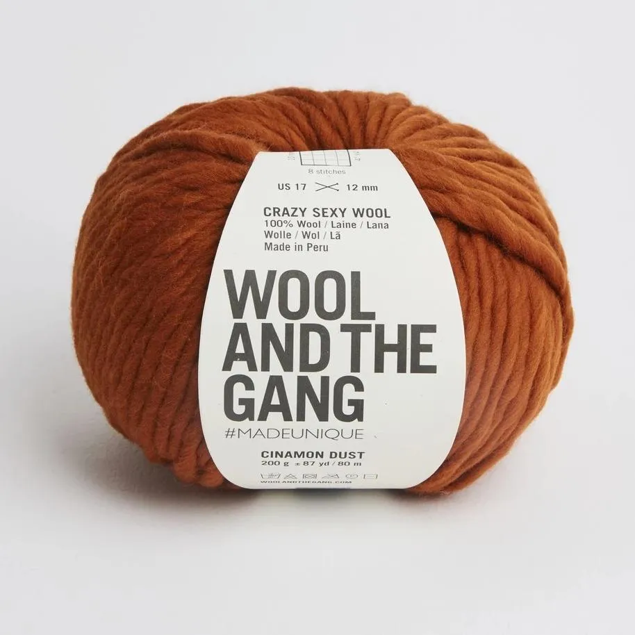 Wool and the Gang Crazy Sexy Wool