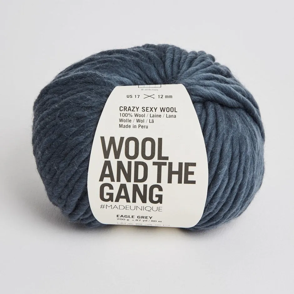 Wool and the Gang Crazy Sexy Wool