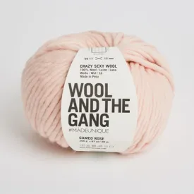 Wool and the Gang Crazy Sexy Wool