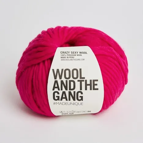 Wool and the Gang Crazy Sexy Wool
