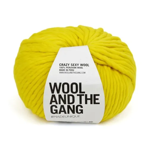 Wool and the Gang Crazy Sexy Wool